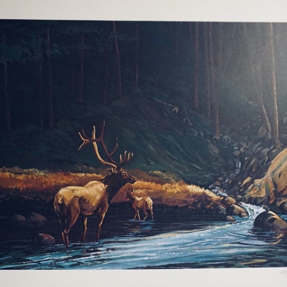 Bill Elliott The Old Bull - Picture 1 of 3